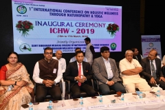 ICHW_Indo-Vietnam-Medical-Board-10